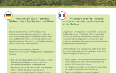 Vorischt im Wald -erhöhte Risiken durch Trockenheit und Hitze – Prudence en forêt – risques accrus en période de sécheresse et de chaleur
