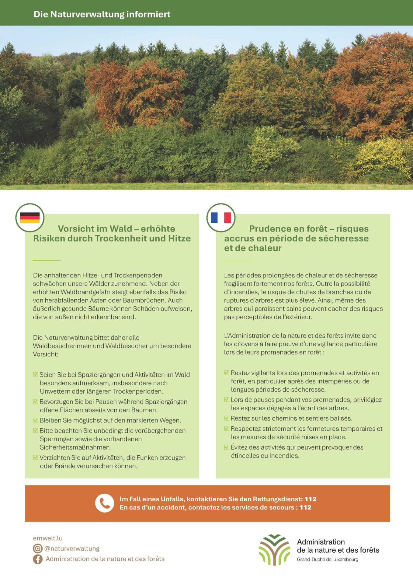 Vorischt im Wald -erhöhte Risiken durch Trockenheit und Hitze - Prudence en forêt - risques accrus en période de sécheresse et de chaleur